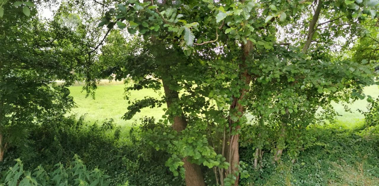 Gemuetliches Ferienhaus "An Der Schilde" In Renzow Esterno foto