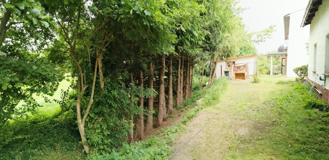 Gemuetliches Ferienhaus "An Der Schilde" In Renzow Esterno foto